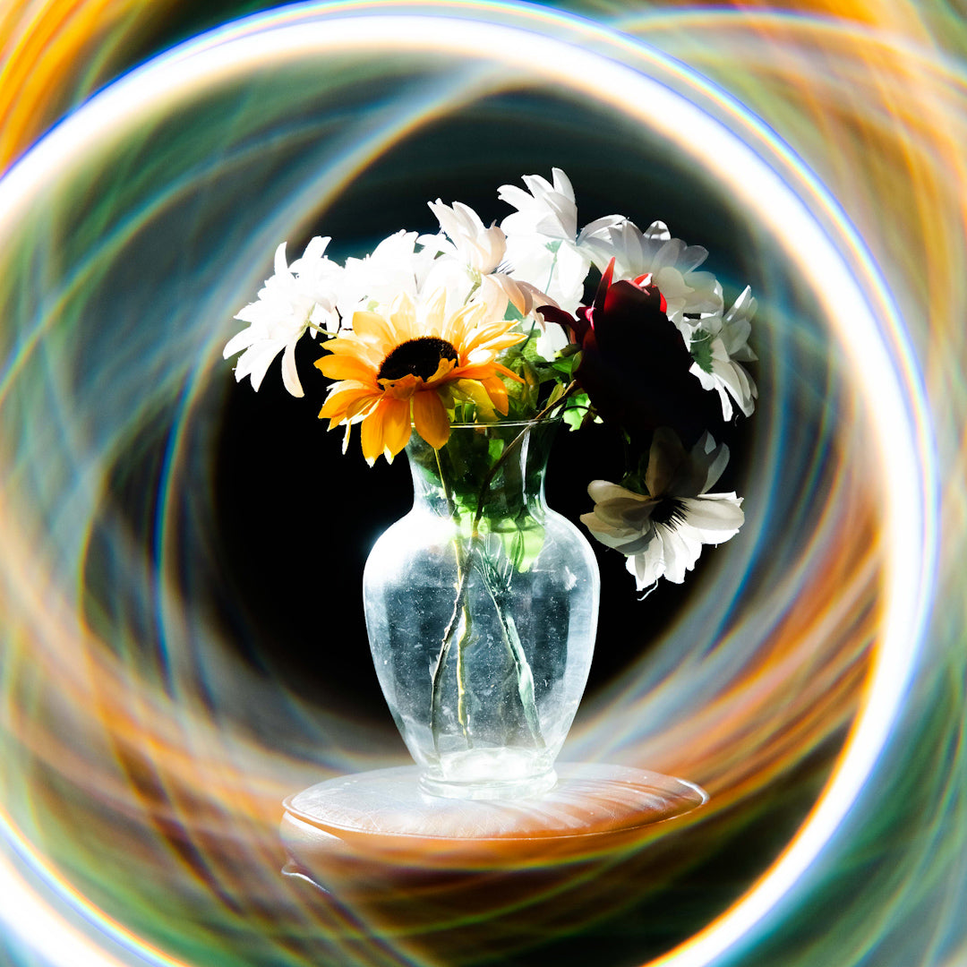 Prism Lens FX Halo Filter – Full Strength 52‑95mm