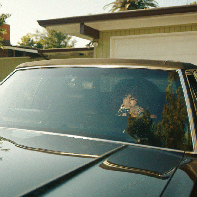 Prism Lens FX Circular Polarizer CPL Filter – Multi-Size Glare Reducer