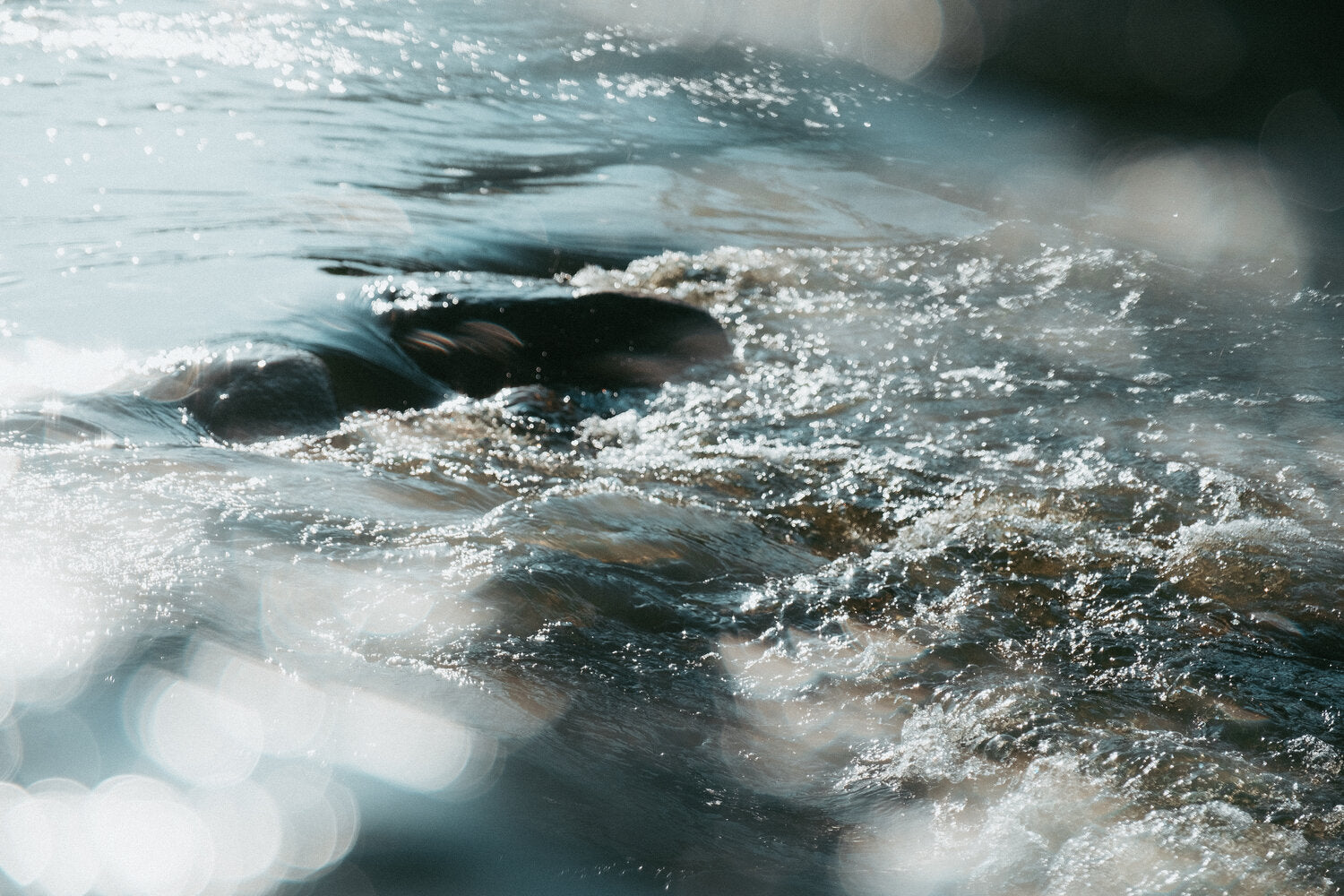 Centerfield Split Diopter FX Filter for Creative Refraction Effects