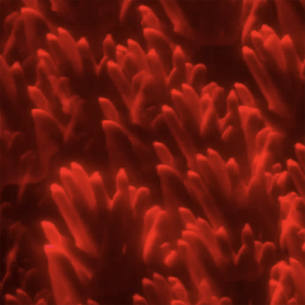 Kaleidoscope FX Filter – Rotating Lens Filter for Creative Photography & Video