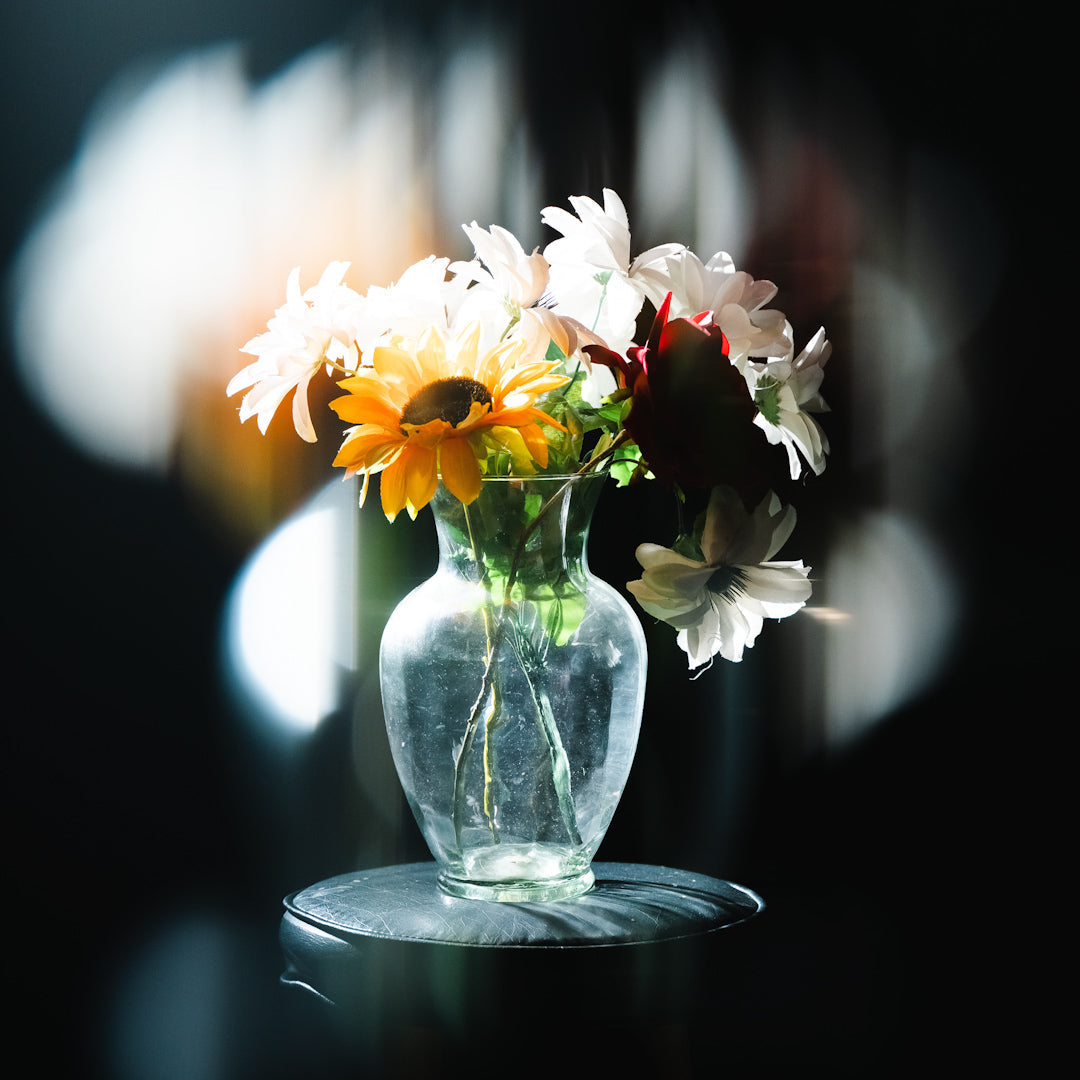 Centerfield Split Diopter FX Filter for Creative Refraction Effects