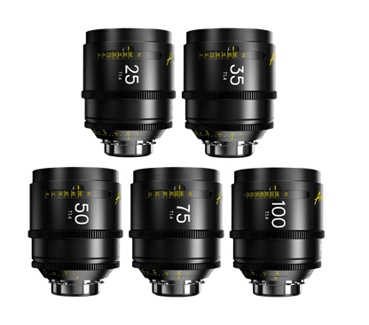 DZOFilm Arles FF/VV 10-Lens Set