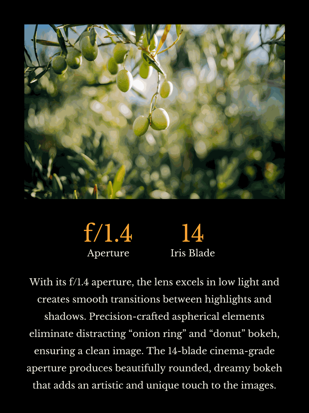 Thypoch Simera 21mm F/1.4 Full-Frame M-Mount Manual Camera Lens