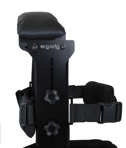 Ergorig Regular