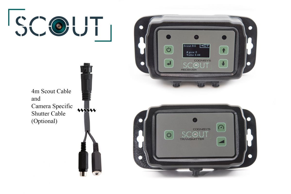 COGNISYS SCOUT CAMERA TRAP WITH BEAM SENSOR (Full Kit)